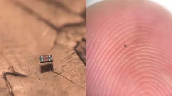 Fotografija: zmescience.com