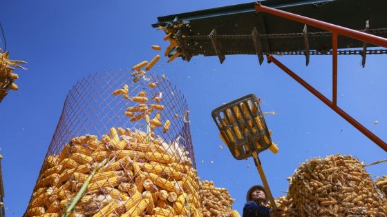 Científicos chinos crean comida de la nada