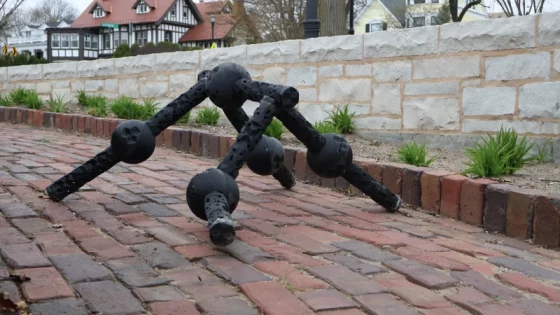 Photo: Sam Kriegman/Northwestern University