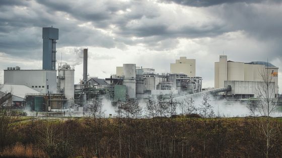 能源危机正在改变欧洲:居家办公增多,电动汽车销量激增